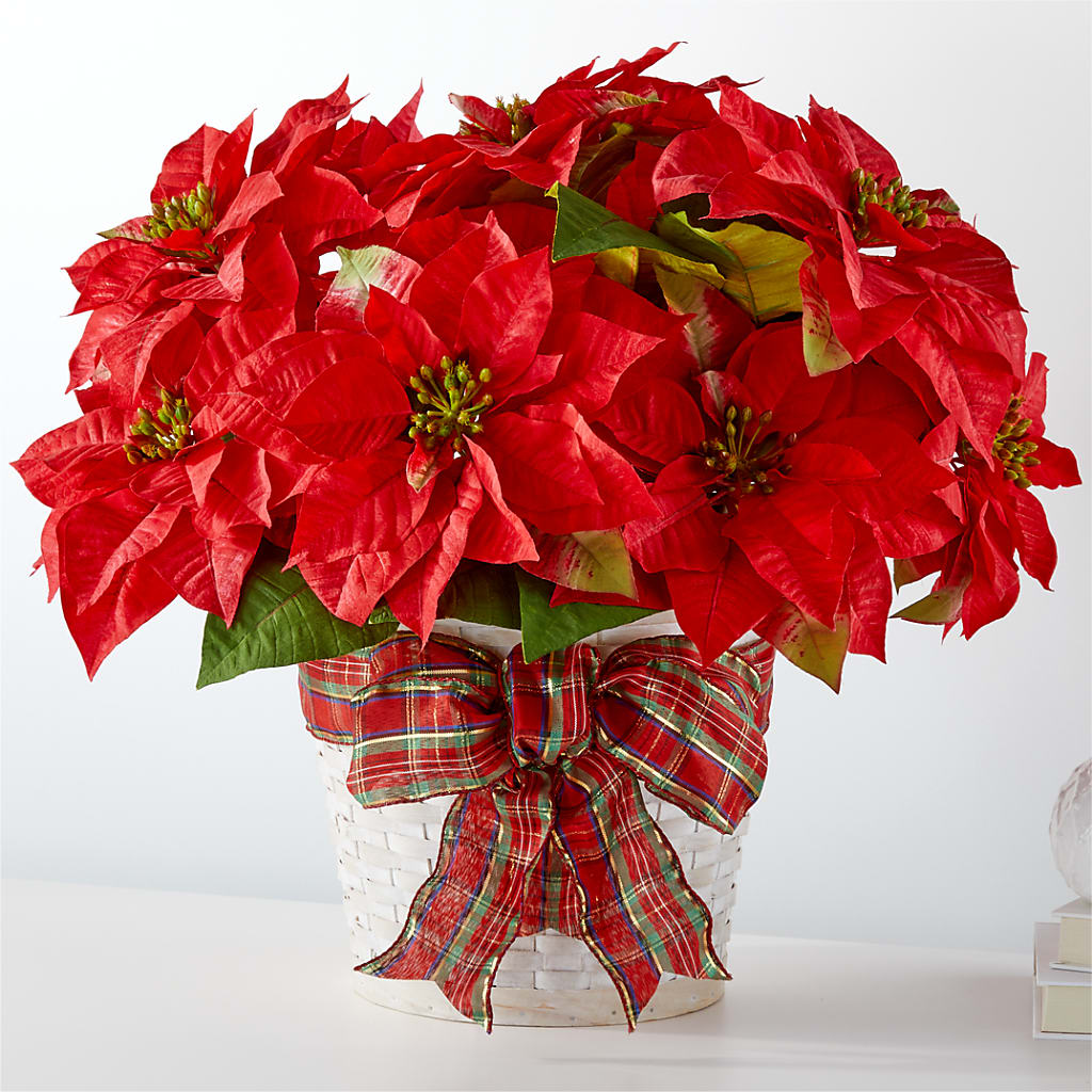 Happiest Holidays Poinsettia – DANNY'S FLOWERS & GIFTS, Livonia MI