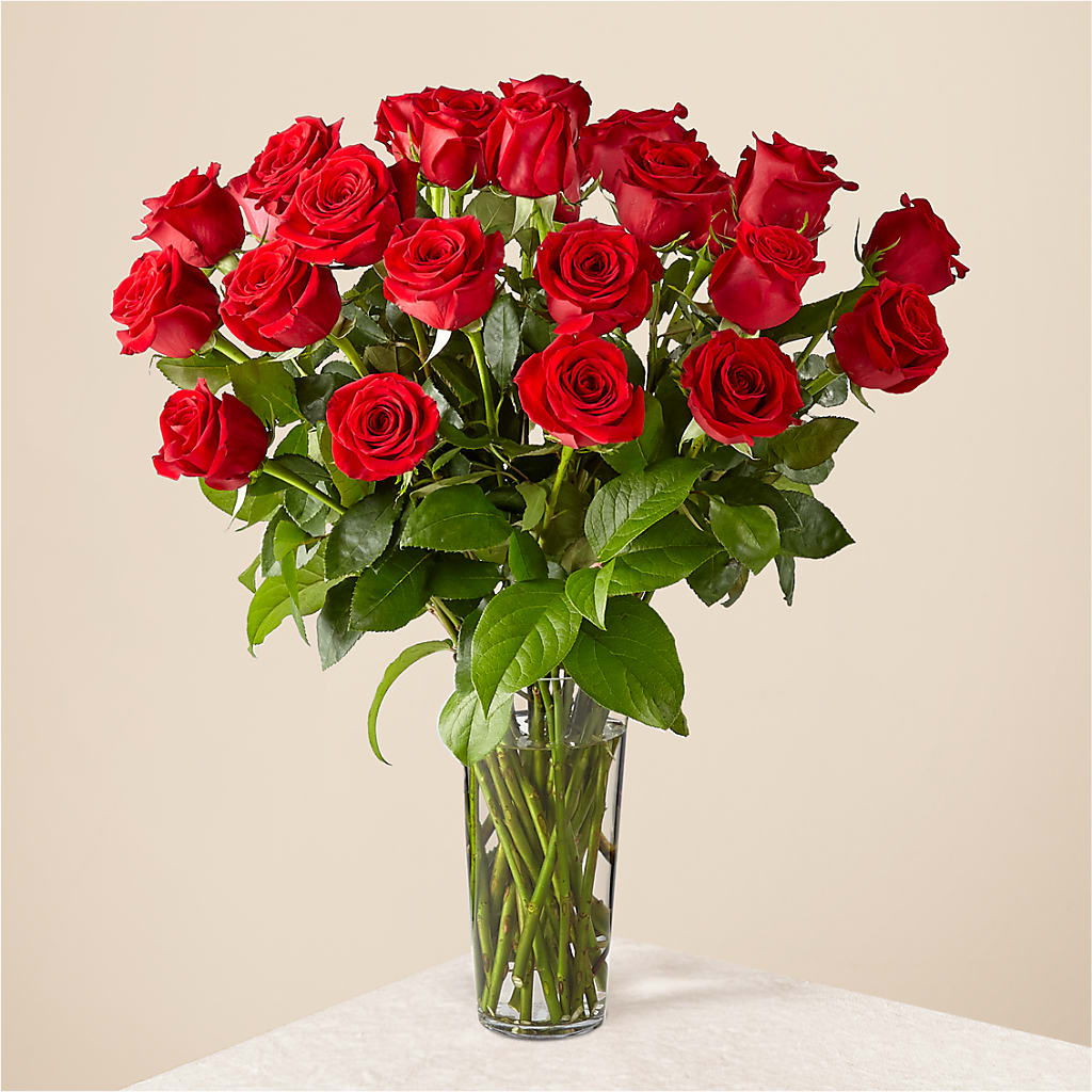 Long Stem Red Rose Bouquet – DANNY'S FLOWERS & GIFTS, Livonia MI