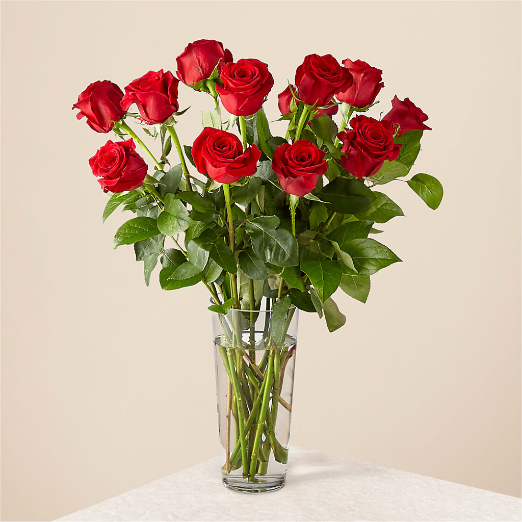Long Stem Red Rose Bouquet – DANNY'S FLOWERS & GIFTS, Livonia MI