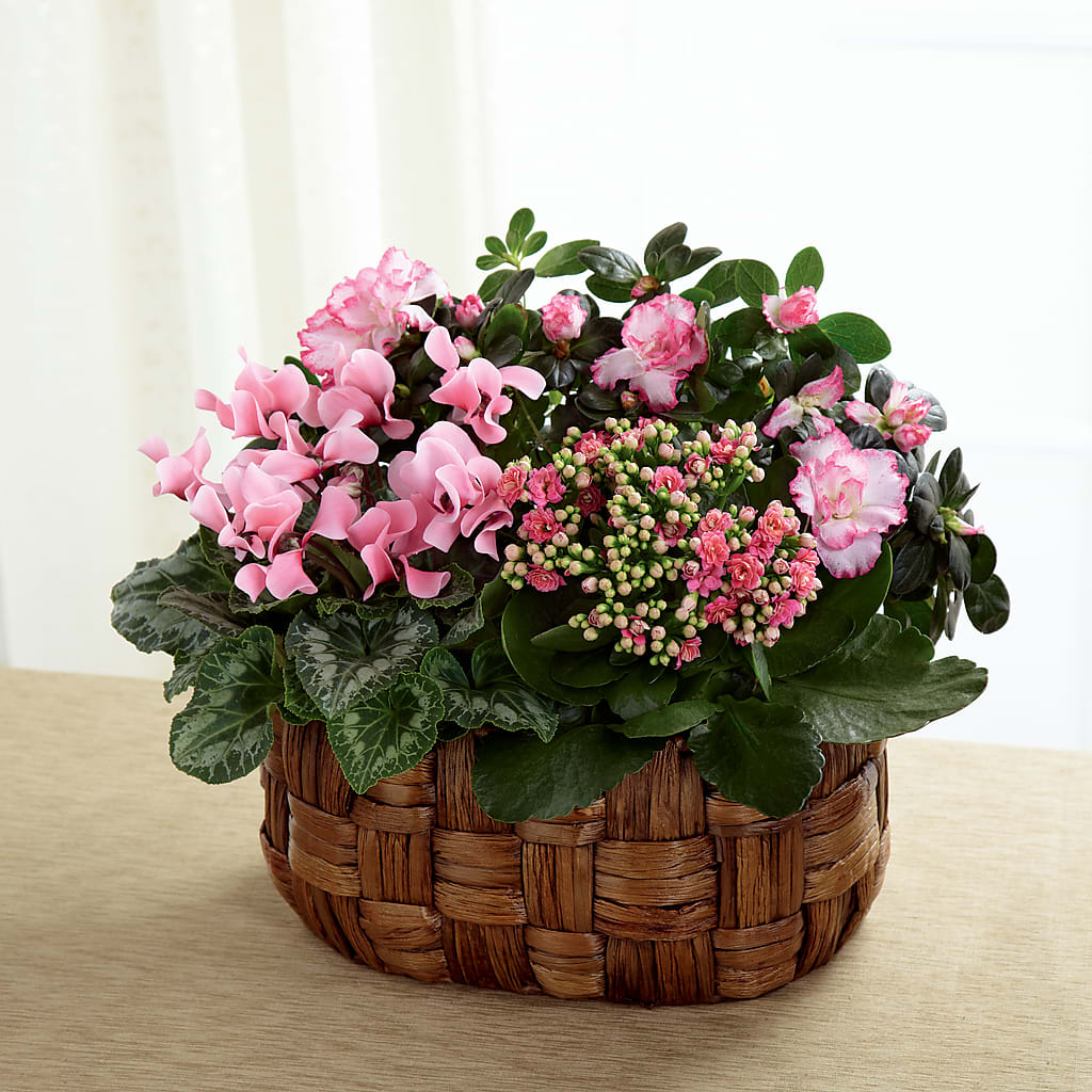 Pink Assortment – DANNY'S FLOWERS & GIFTS, Livonia MI