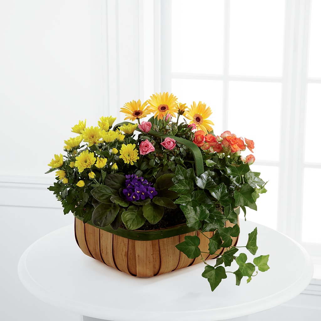 Gentle Blossoms Basket – DANNY'S FLOWERS & GIFTS, Livonia MI
