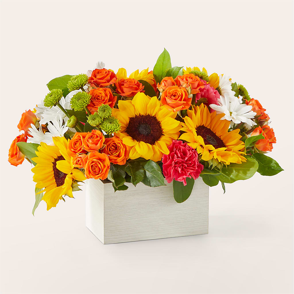 Sun-drenched Blooms Box Bouquet – DANNY'S FLOWERS & GIFTS, Livonia MI
