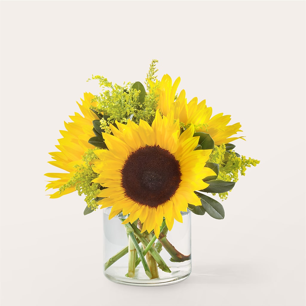 Beaming Sunflower Bouquet – DANNY'S FLOWERS & GIFTS, Livonia MI