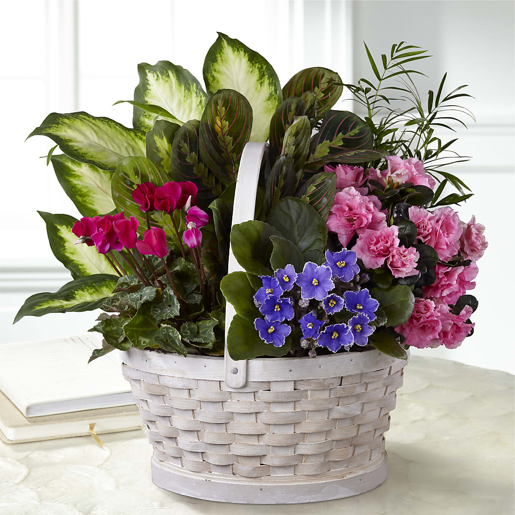 Peaceful Garden Planter – DANNY'S FLOWERS & GIFTS, Livonia MI