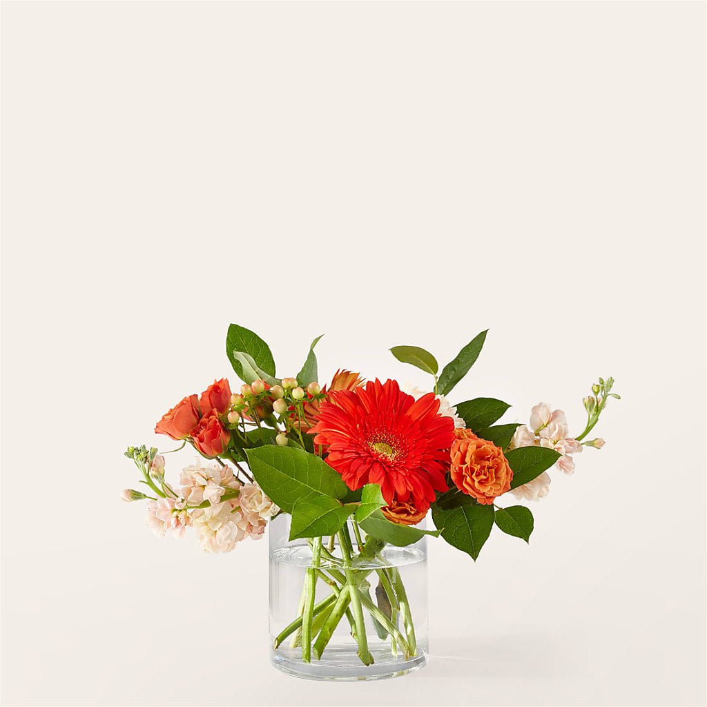 Paloma Please Bouquet – DANNY'S FLOWERS & GIFTS, Livonia MI