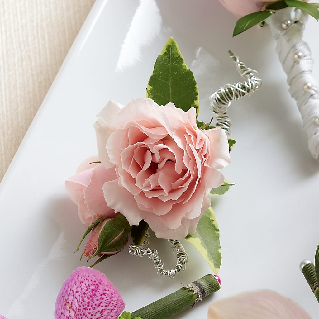 Pink Spray Rose Boutonniere – DANNY'S FLOWERS & GIFTS, Livonia MI