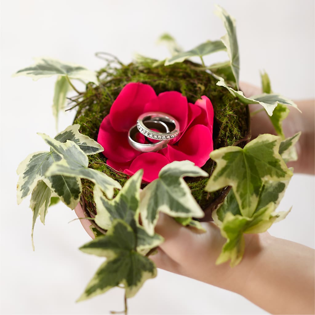 Lila Rose Ring Nest – DANNY'S FLOWERS & GIFTS, Livonia MI