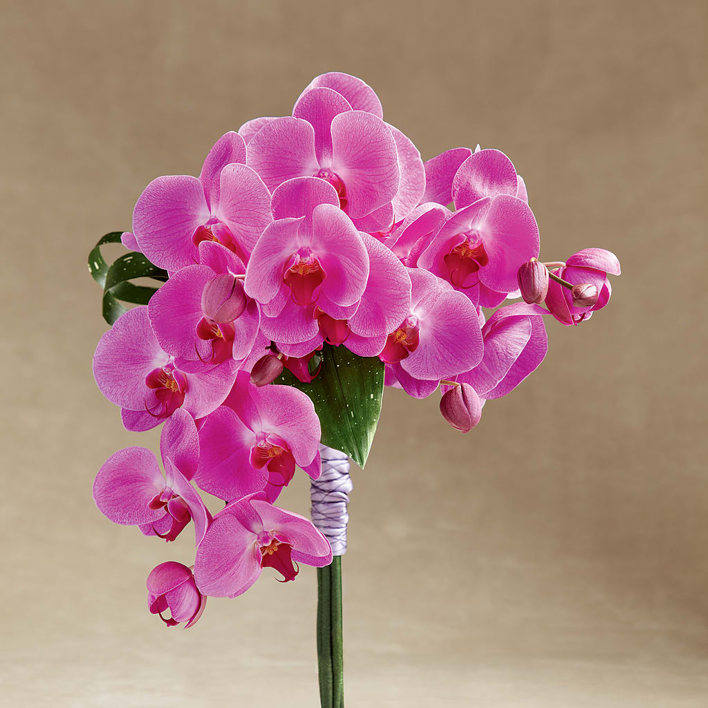 Glorious Bouquet – DANNY'S FLOWERS & GIFTS, Livonia MI