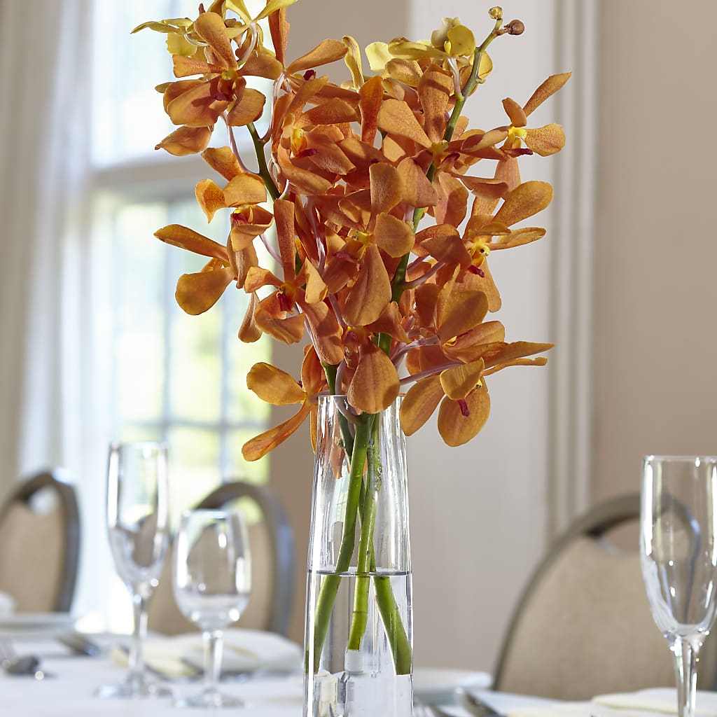 Orange Mokara Bud Vase – DANNY'S FLOWERS & GIFTS, Livonia MI
