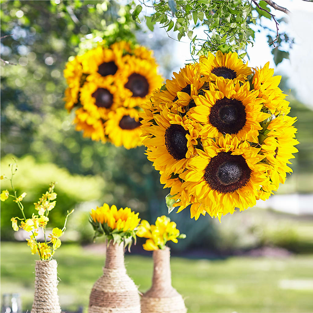 Sublime Garden Hanging Arrangement – DANNY'S FLOWERS & GIFTS, Livonia MI