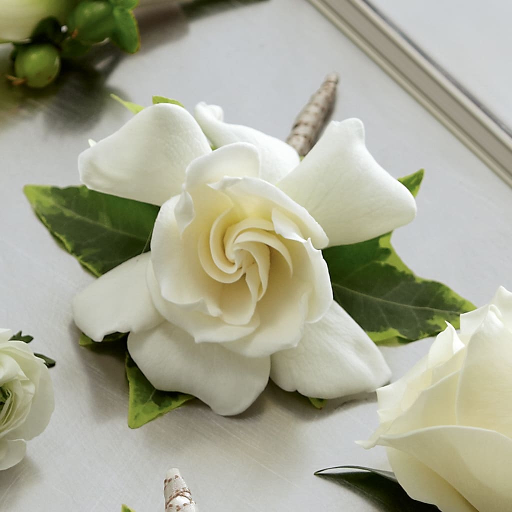 Gardenia Boutonniere – DANNY'S FLOWERS & GIFTS, Livonia MI