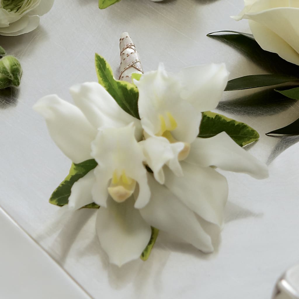 White Mini Cymbidium Boutonniere – DANNY'S FLOWERS & GIFTS, Livonia MI