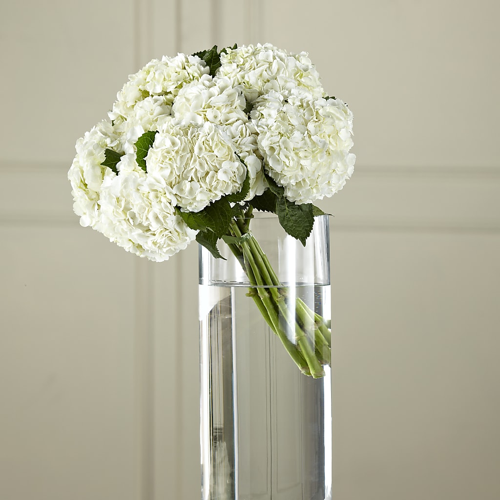 White Hydrangea Hand-Tied Bouquet – DANNY'S FLOWERS & GIFTS, Livonia MI