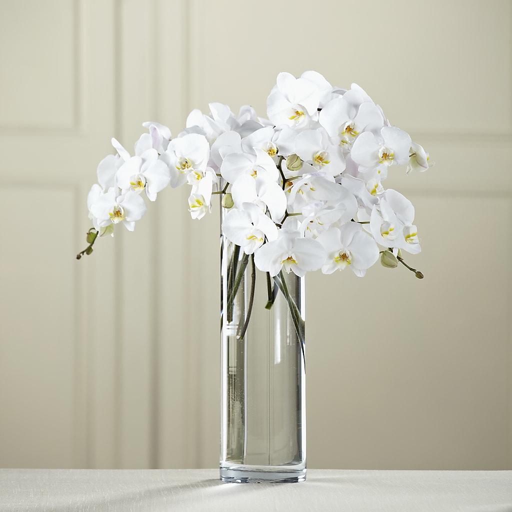 White Phalaenopsis Bouquet – DANNY'S FLOWERS & GIFTS, Livonia MI