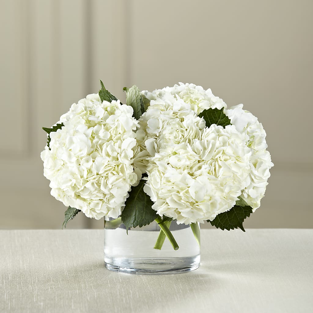 White Hydrangea Bouquet – DANNY'S FLOWERS & GIFTS, Livonia MI