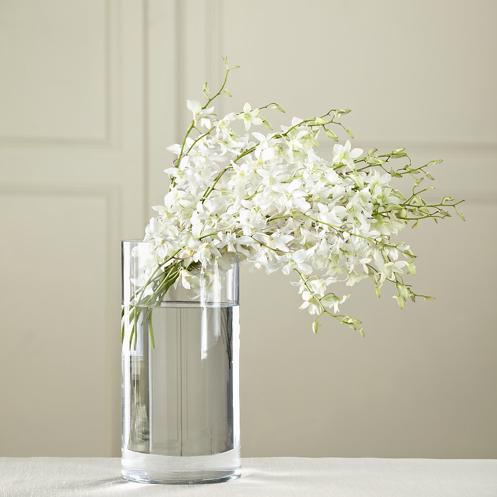 White Dendrobium Bouquet – DANNY'S FLOWERS & GIFTS, Livonia MI
