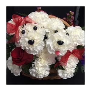 Adorable Puppies – DANNY'S FLOWERS & GIFTS, Livonia MI