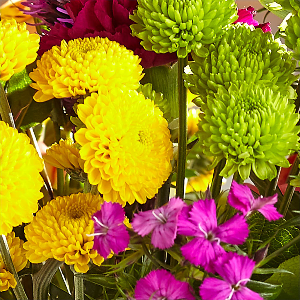 Bold & Bright – A Florist Original – DANNY'S FLOWERS & GIFTS, Livonia MI