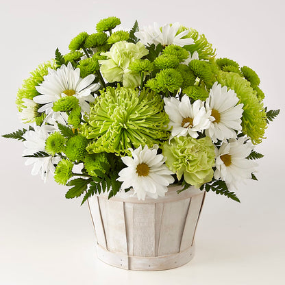 Lucky Charm Basket (Standard) – DANNY'S FLOWERS & GIFTS, Livonia MI
