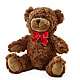 Adorable Plush Bear – DANNY'S FLOWERS & GIFTS, Livonia MI