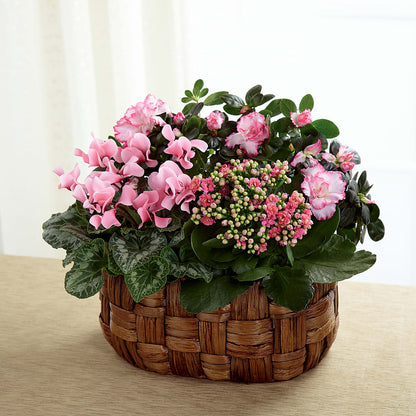 Pink Assortment – DANNY'S FLOWERS & GIFTS, Livonia MI