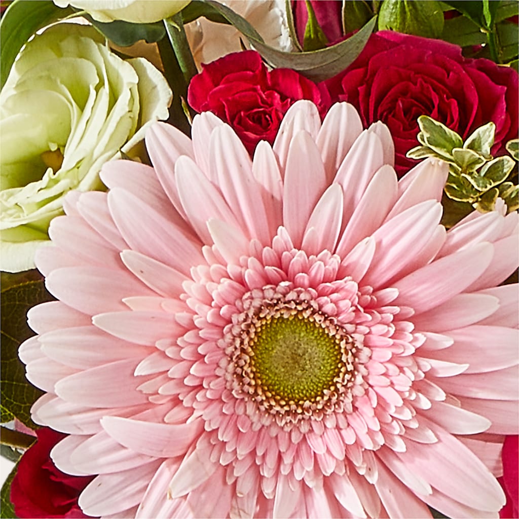 Too Cute Bouquet – DANNY'S FLOWERS & GIFTS, Livonia MI