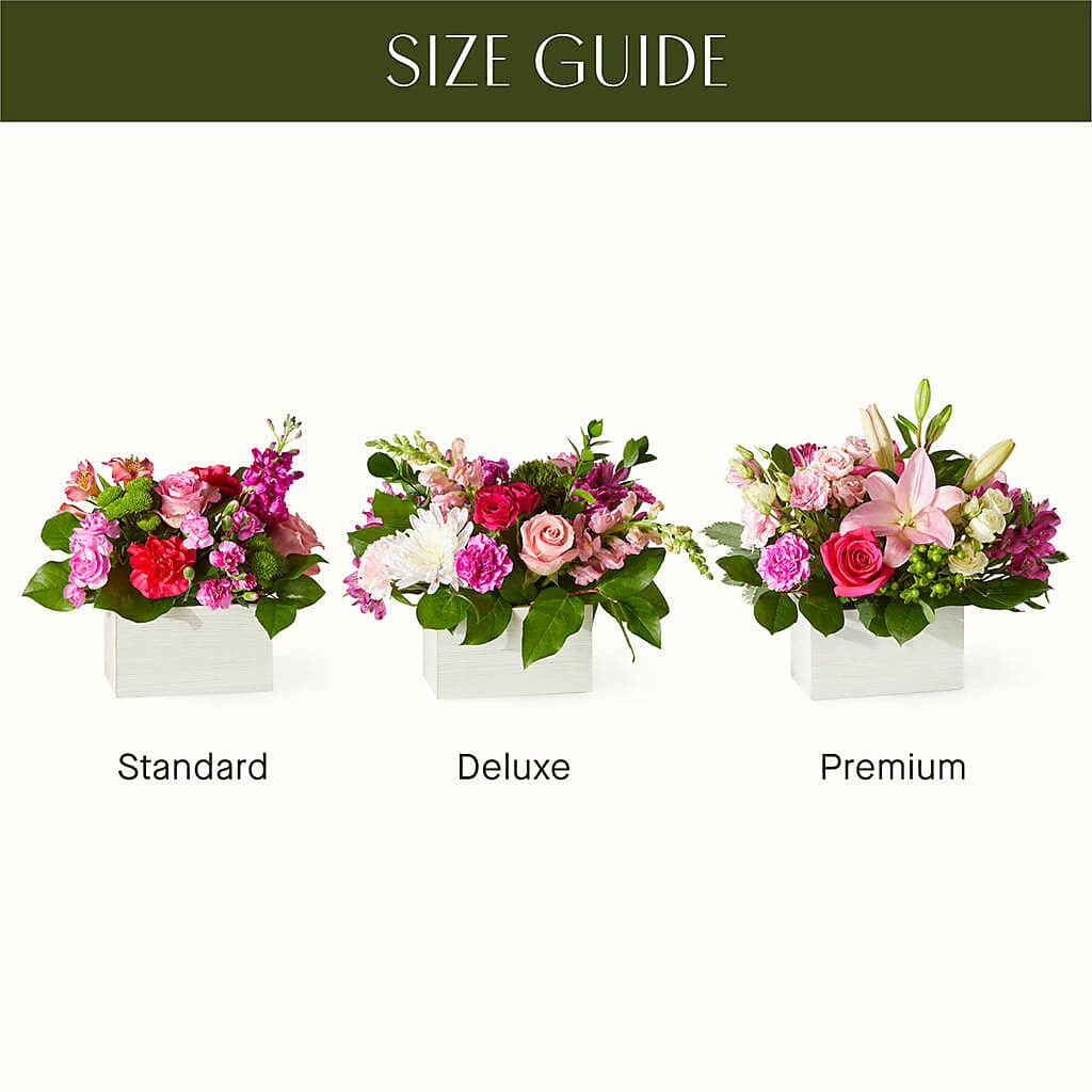 Sweetberry Box – A Florist Original – DANNY'S FLOWERS & GIFTS, Livonia MI