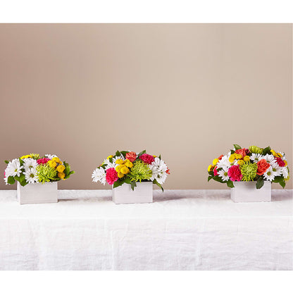 Sorbet Bouquet – DANNY'S FLOWERS & GIFTS, Livonia MI