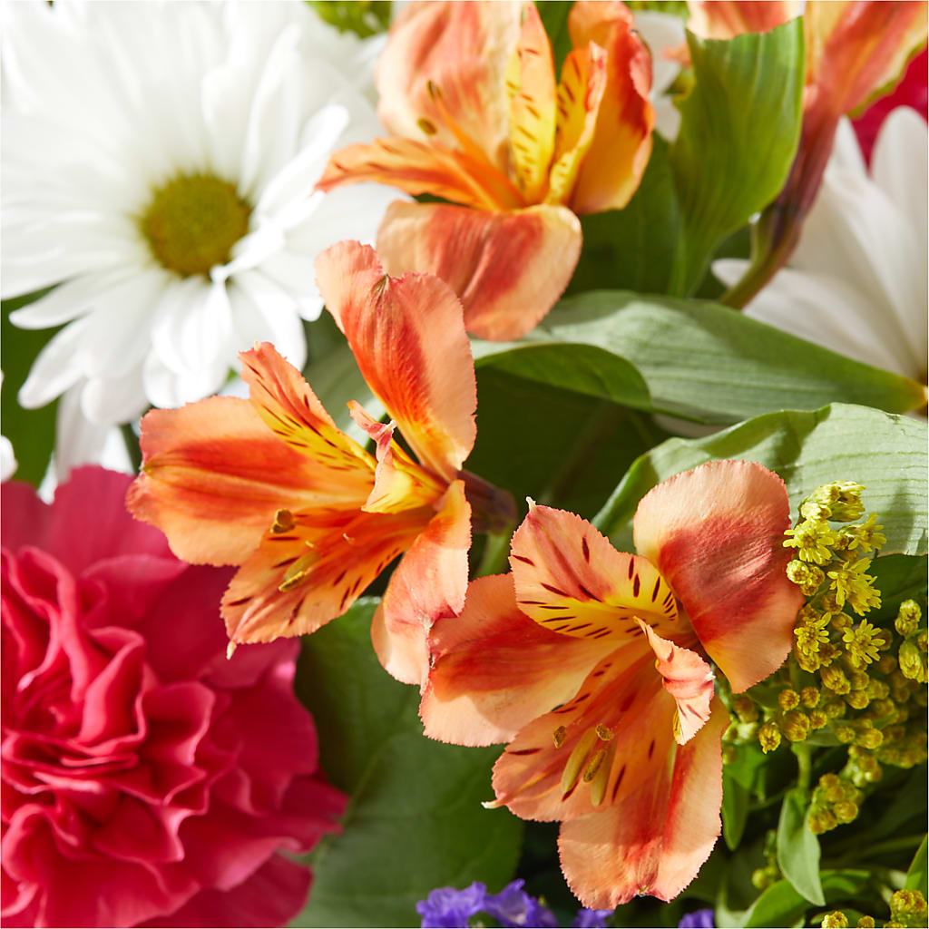 Oopsie Daisy Box Bouquet – DANNY'S FLOWERS & GIFTS, Livonia MI
