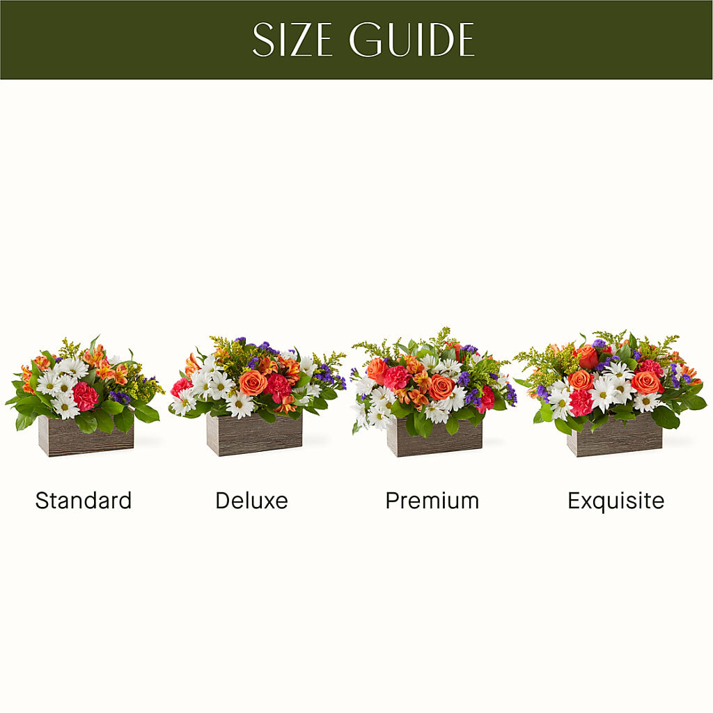 Oopsie Daisy Box Bouquet – DANNY'S FLOWERS & GIFTS, Livonia MI