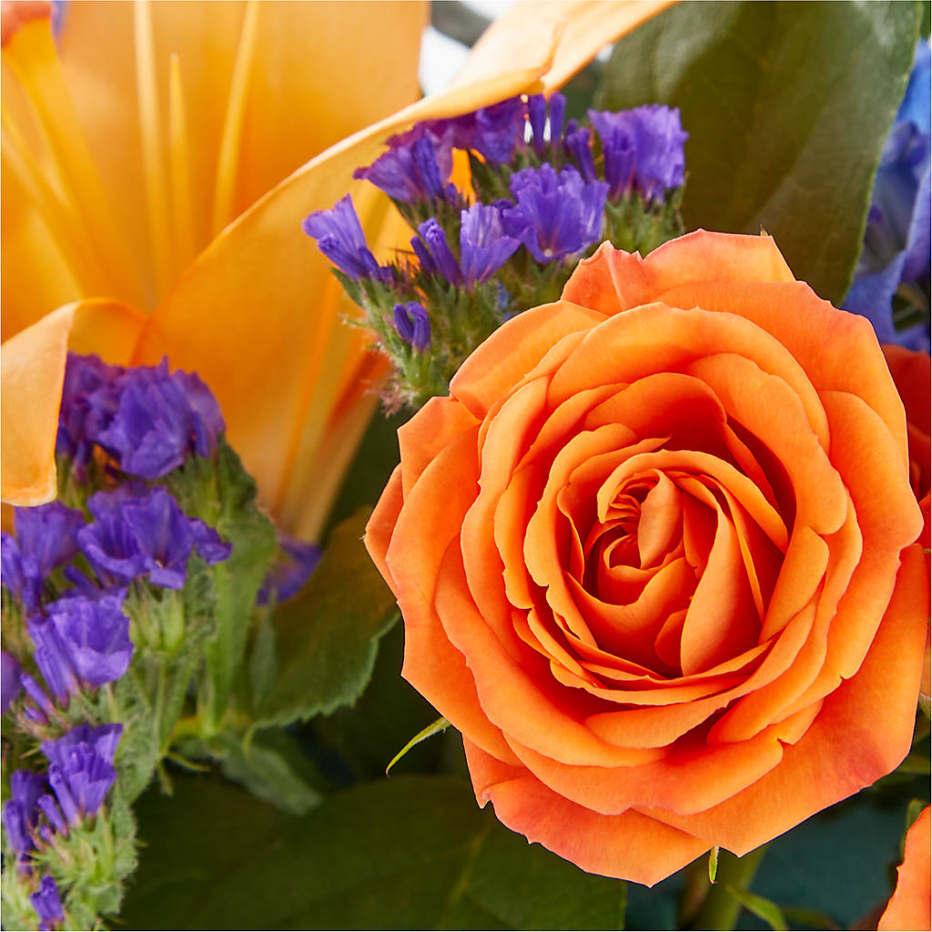 Radiant Citrus Box Bouquet – DANNY'S FLOWERS & GIFTS, Livonia MI