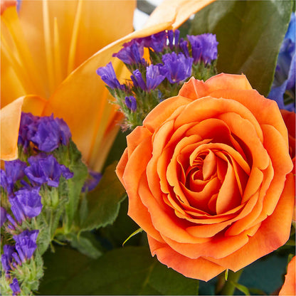 Radiant Citrus Box Bouquet – DANNY'S FLOWERS & GIFTS, Livonia MI