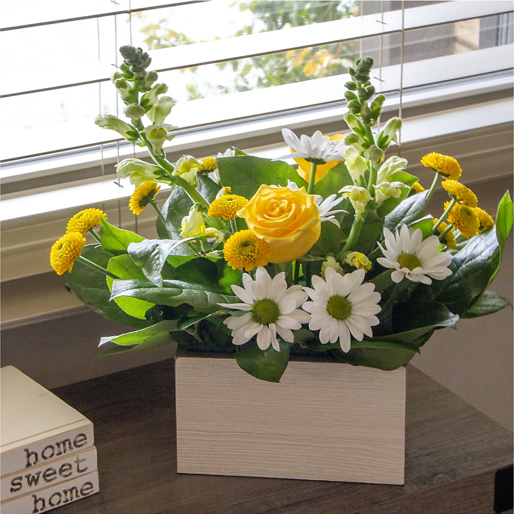 Sun Salutation Box Bouquet – DANNY'S FLOWERS & GIFTS, Livonia MI
