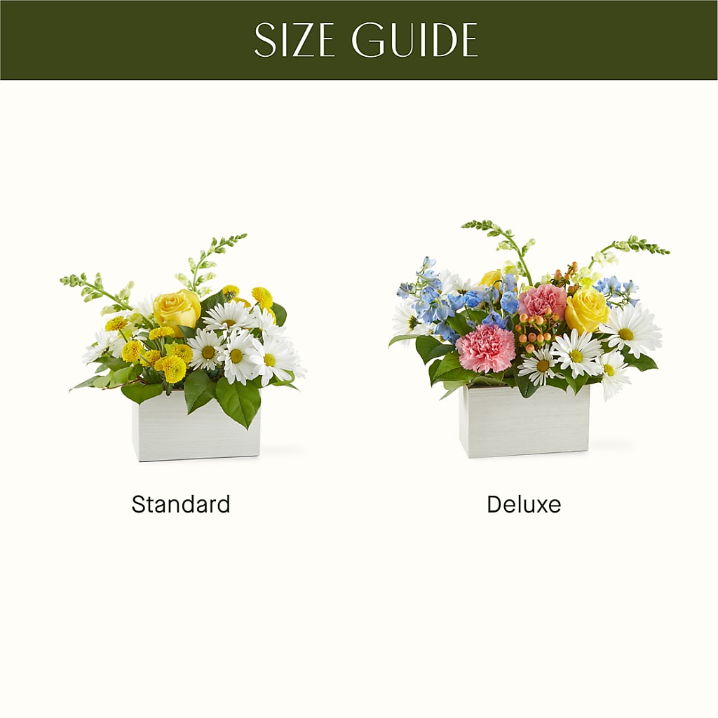 Sun Salutation Box Bouquet – DANNY'S FLOWERS & GIFTS, Livonia MI