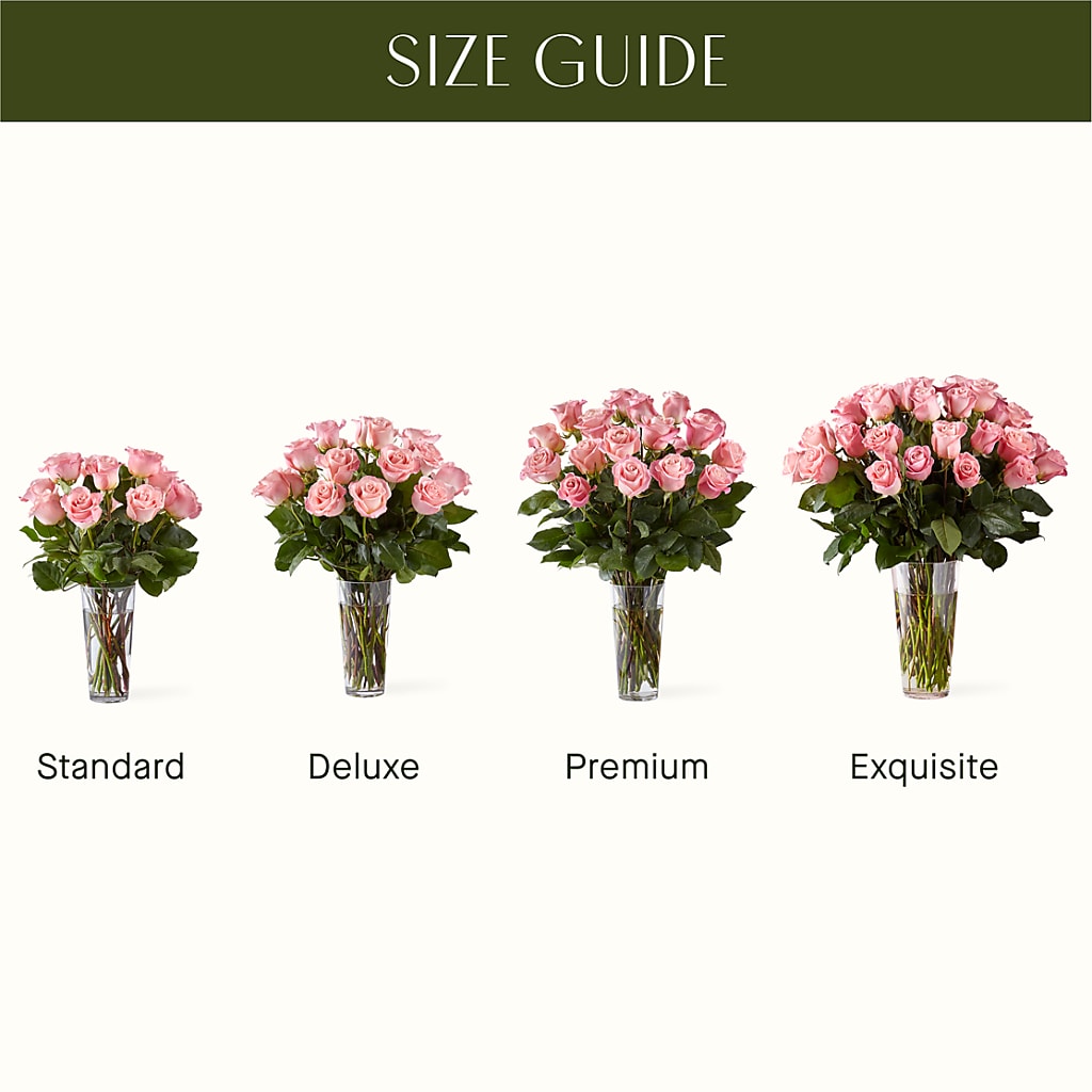 Long Stem Pink Rose Bouquet – DANNY'S FLOWERS & GIFTS, Livonia MI