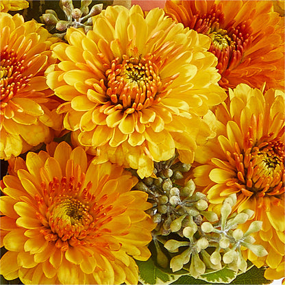 Peachy Pumpkin – DANNY'S FLOWERS & GIFTS, Livonia MI