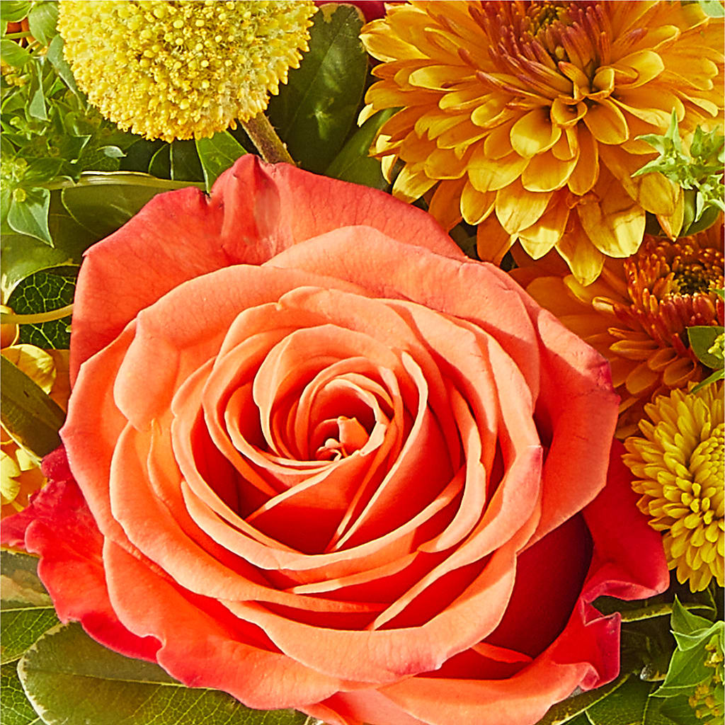 Gourdgeous Pumpkin – DANNY'S FLOWERS & GIFTS, Livonia MI