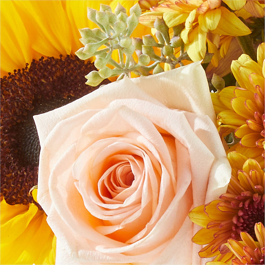 Pumpkin to Talk About Bouquet – DANNY'S FLOWERS & GIFTS, Livonia MI