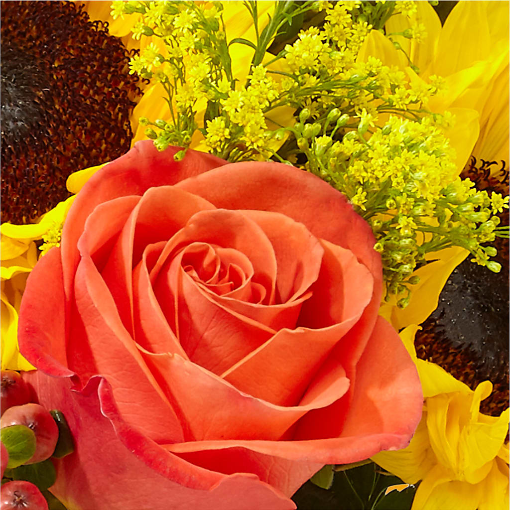 Pick of the Patch Pumpkin Bouquet – DANNY'S FLOWERS & GIFTS, Livonia MI