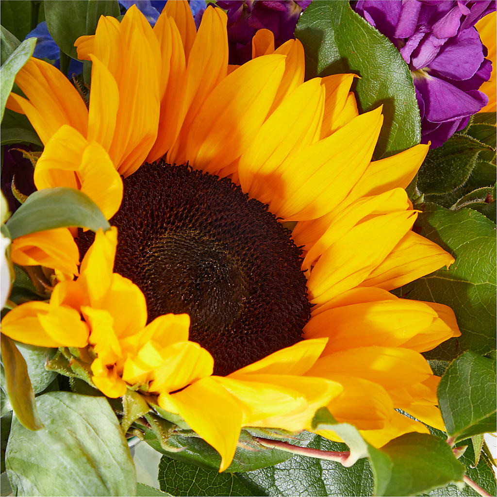 Catching Rays Bouquet – DANNY'S FLOWERS & GIFTS, Livonia MI