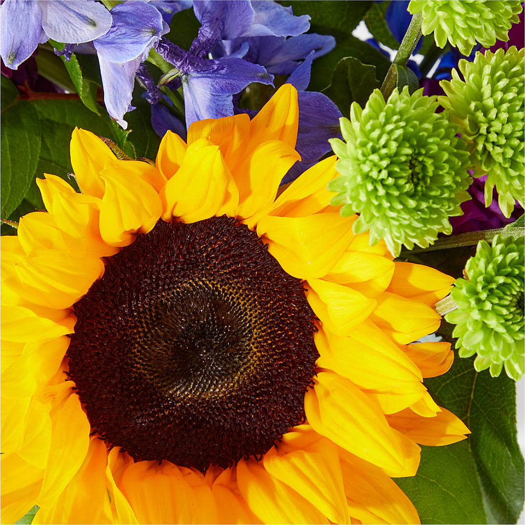 Catching Rays Bouquet – DANNY'S FLOWERS & GIFTS, Livonia MI