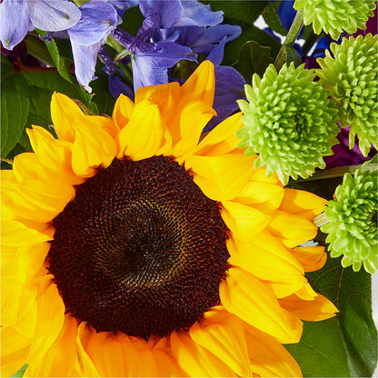 Catching Rays Bouquet – DANNY'S FLOWERS & GIFTS, Livonia MI