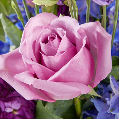 Twilight Glow Bouquet – DANNY'S FLOWERS & GIFTS, Livonia MI