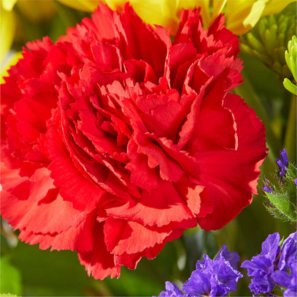 Brighter Days Bouquet – DANNY'S FLOWERS & GIFTS, Livonia MI