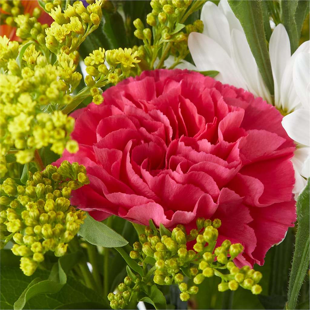 Oopsie Daisy Bouquet – DANNY'S FLOWERS & GIFTS, Livonia MI