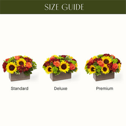 Happy Harvest Garden – DANNY'S FLOWERS & GIFTS, Livonia MI