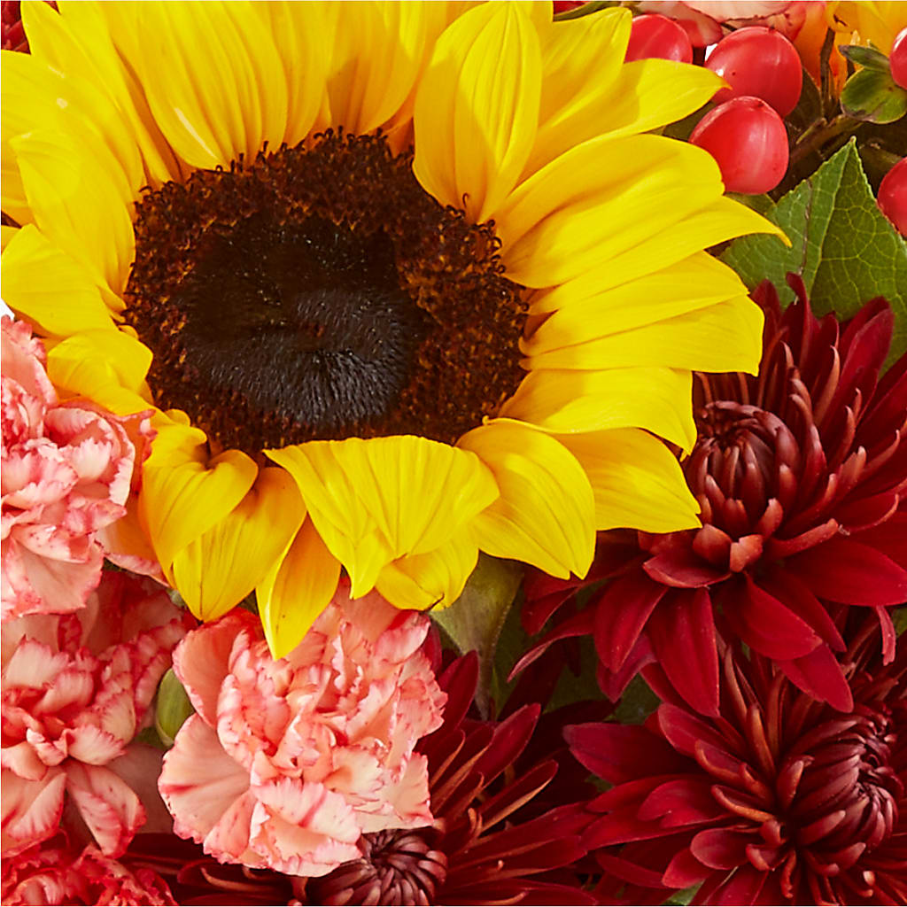 Fresh Cider Bouquet – DANNY'S FLOWERS & GIFTS, Livonia MI