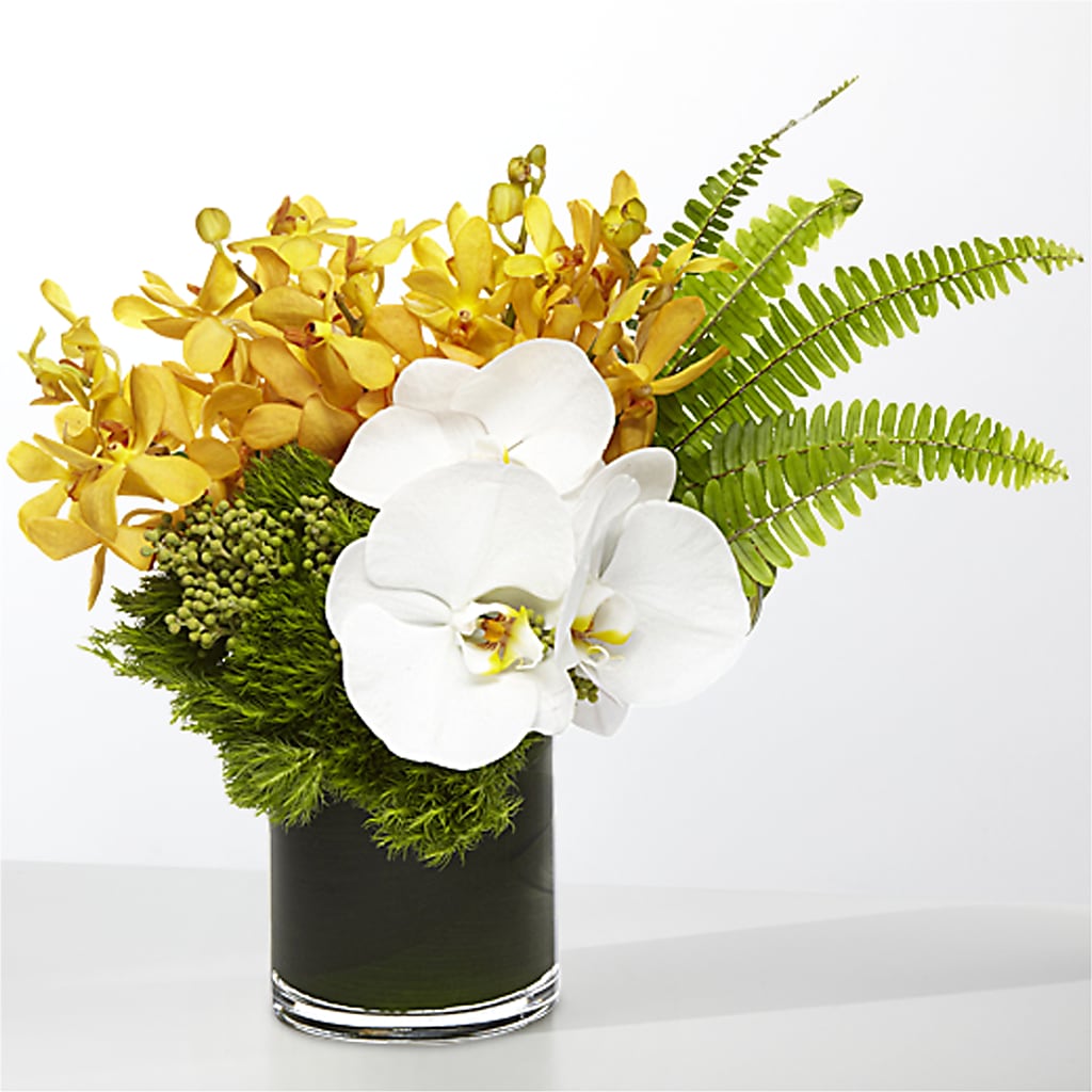 The Tropics – DANNY'S FLOWERS & GIFTS, Livonia MI
