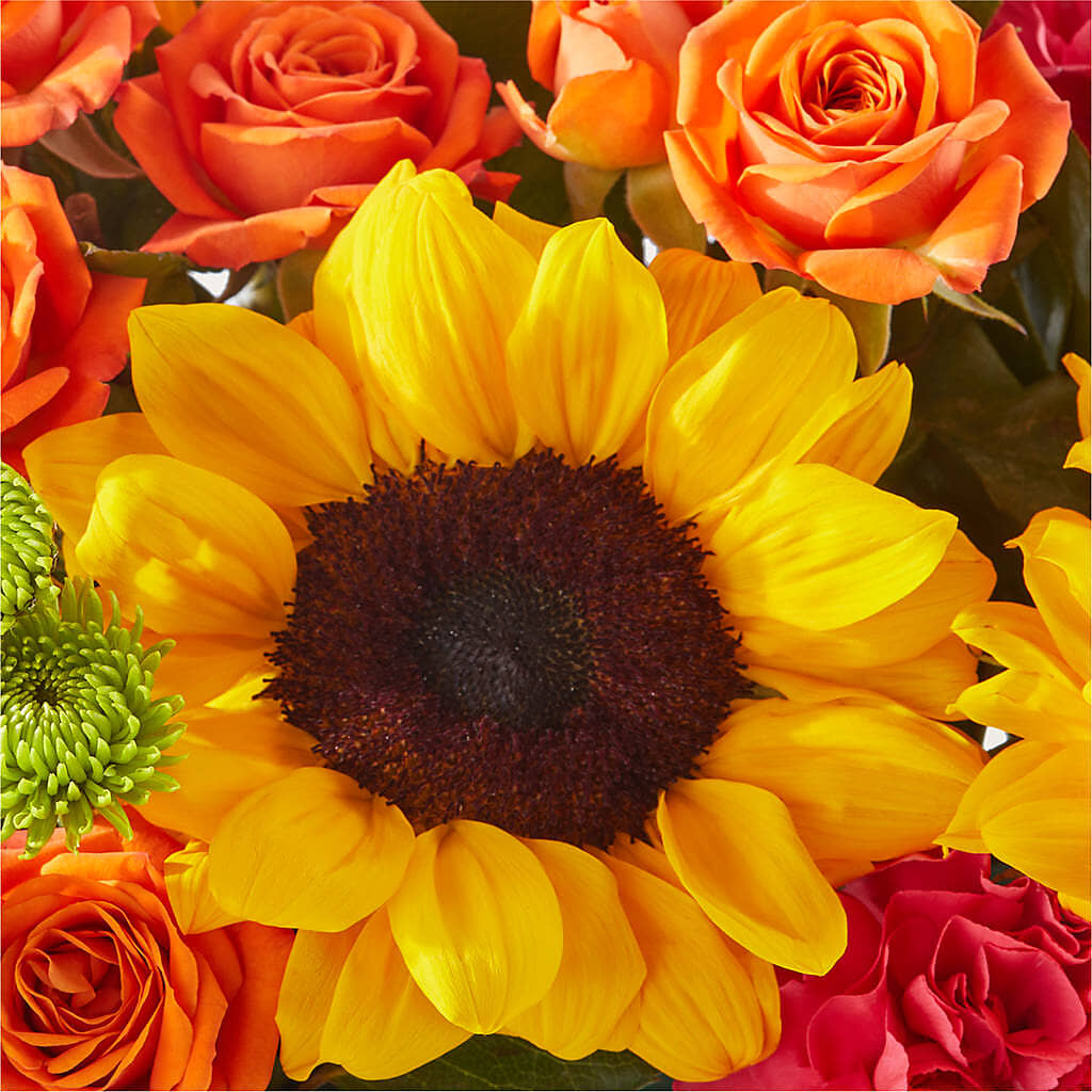 Sun-drenched Blooms Box Bouquet – DANNY'S FLOWERS & GIFTS, Livonia MI