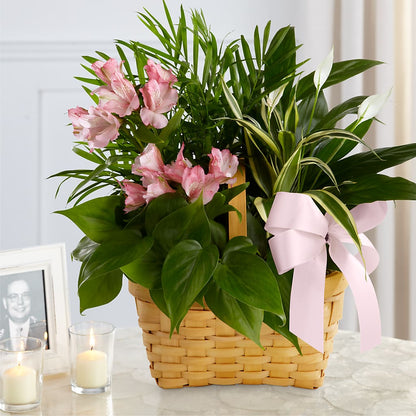 Living Spirit Dishgarden – DANNY'S FLOWERS & GIFTS, Livonia MI